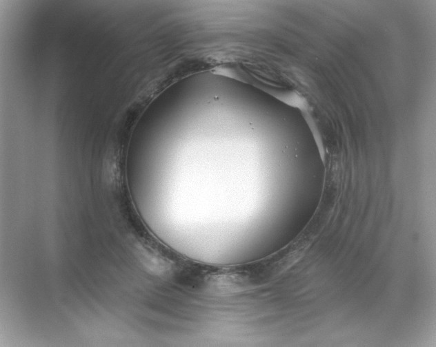 X0000071390408200607071913