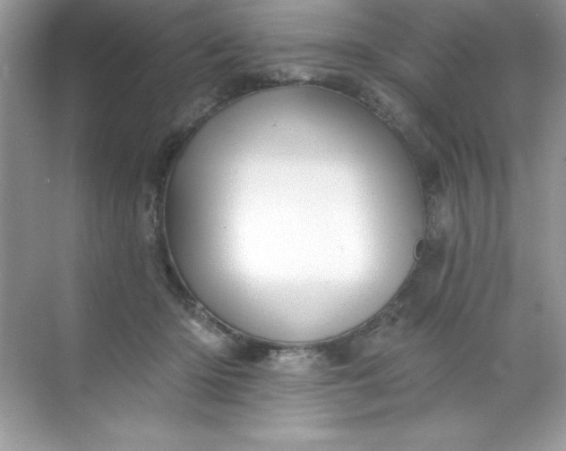 X0000071390414200607071913
