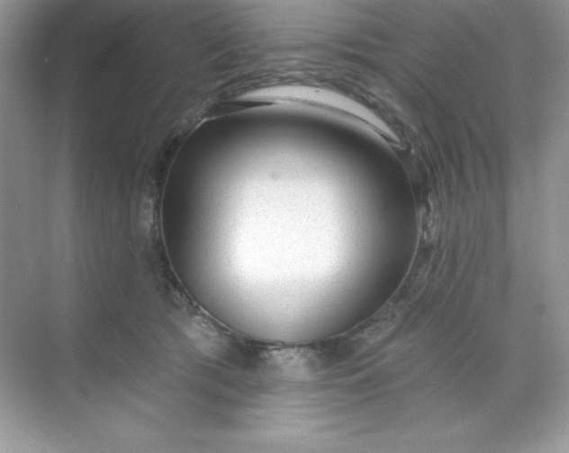 X0000071390417200607071913