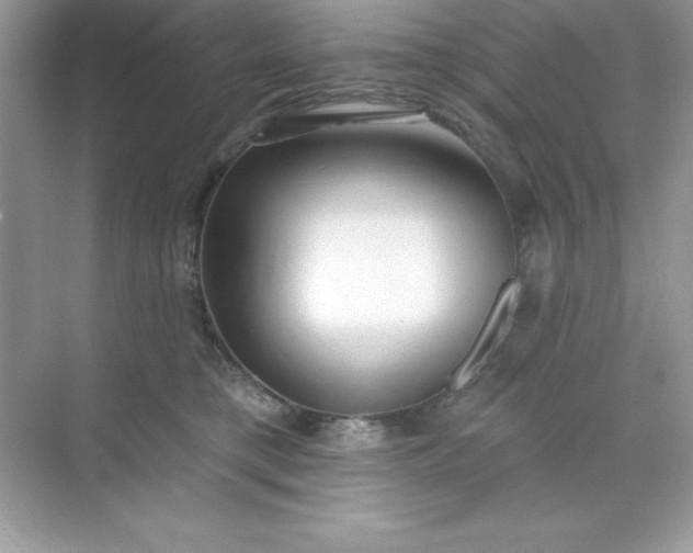 X0000071390421200607071913