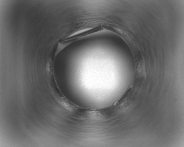 X0000071390424200607071913
