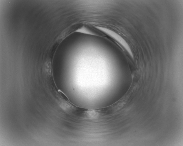 X0000071390425200607071913