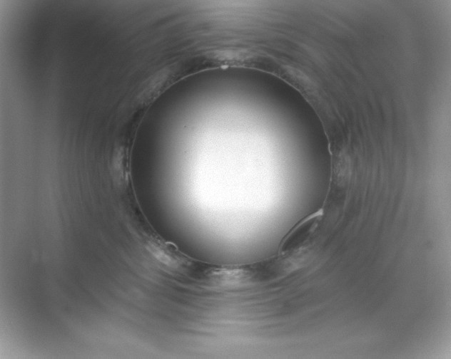 X0000071390428200607071913