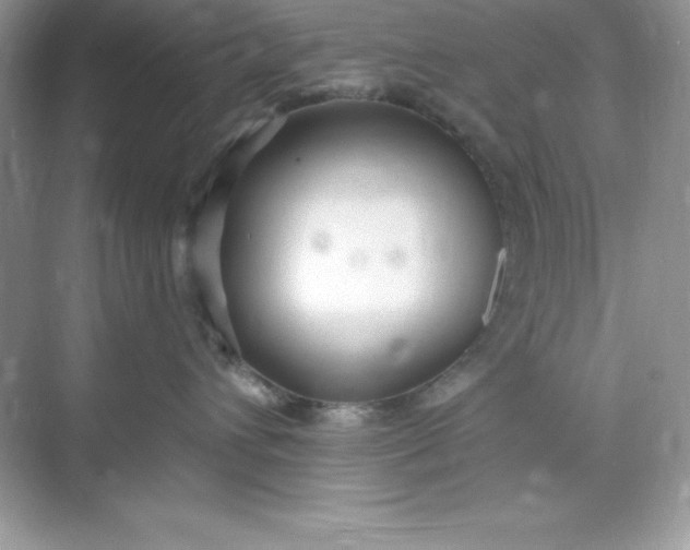 X0000071390432200607071913