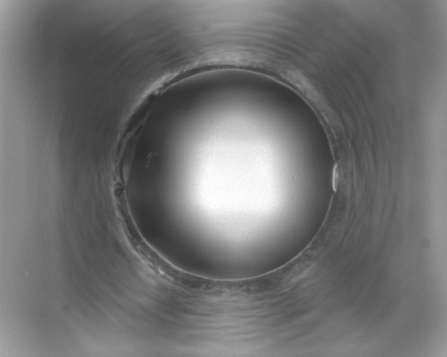 X0000071390434200607071912