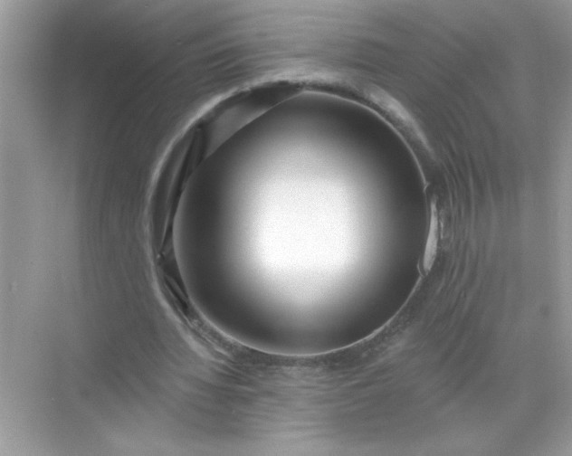 X0000071390436200607071912