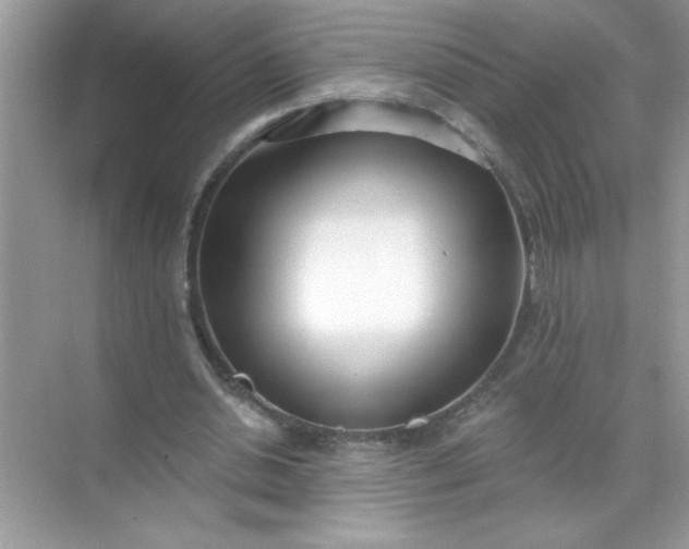 X0000071390438200607071912