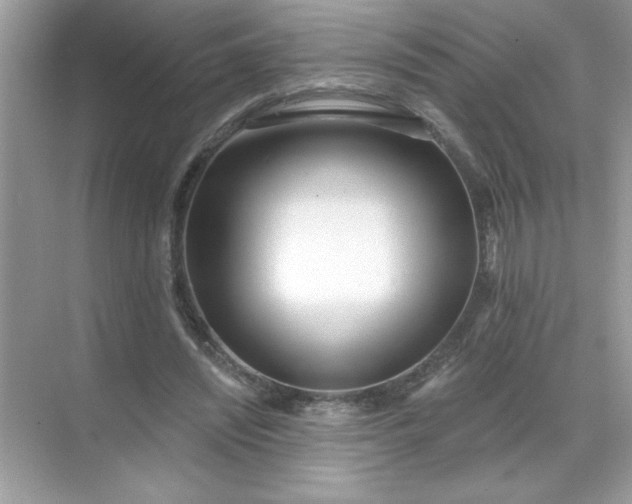 X0000071390444200607071912