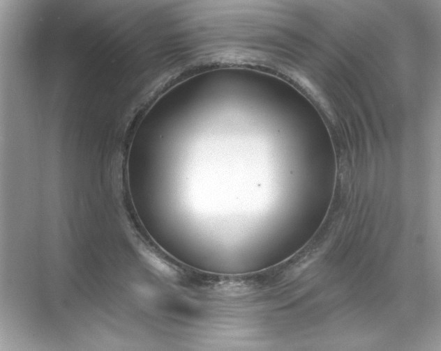 X0000071390445200607071912