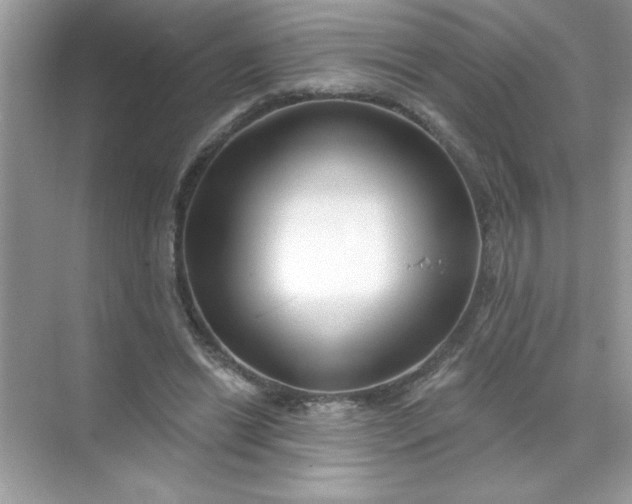 X0000071390446200607071912
