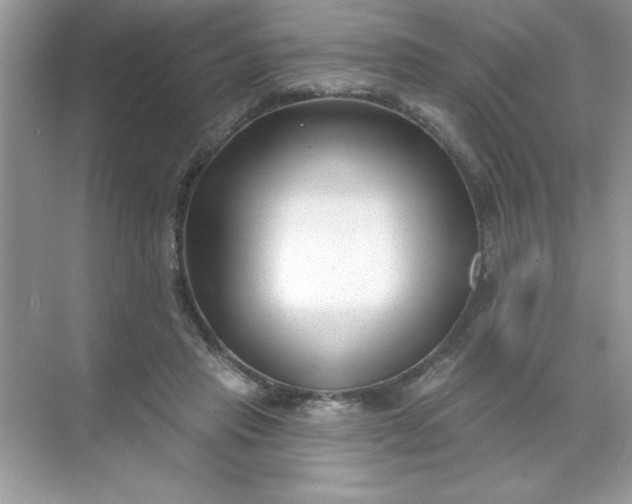 X0000071390453200607071912