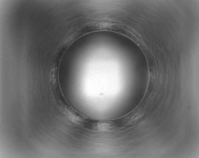 X0000071390462200607071912
