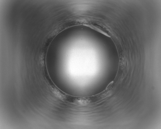 X0000071390466200607071912