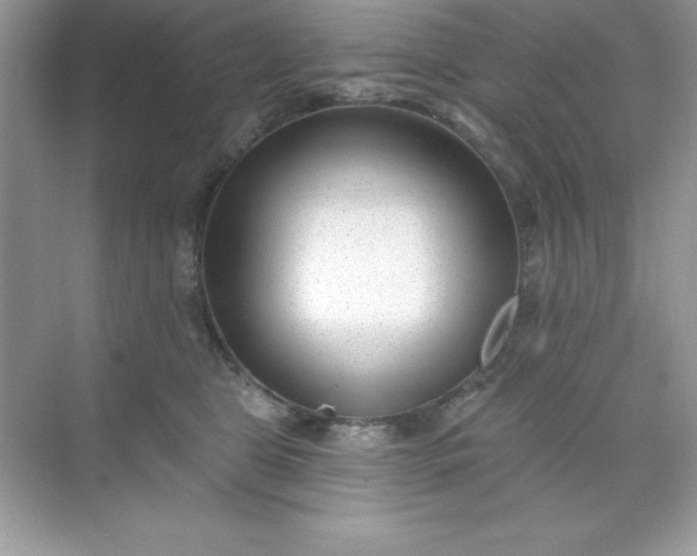 X0000071390469200607071913