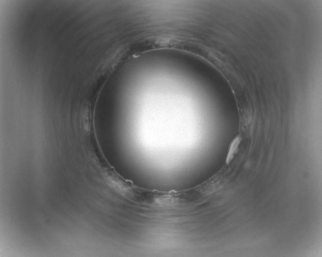 X0000071390470200607071913