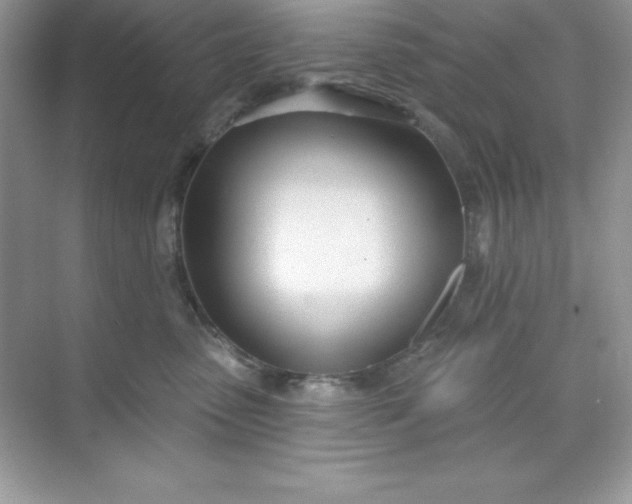 X0000071390475200607071913