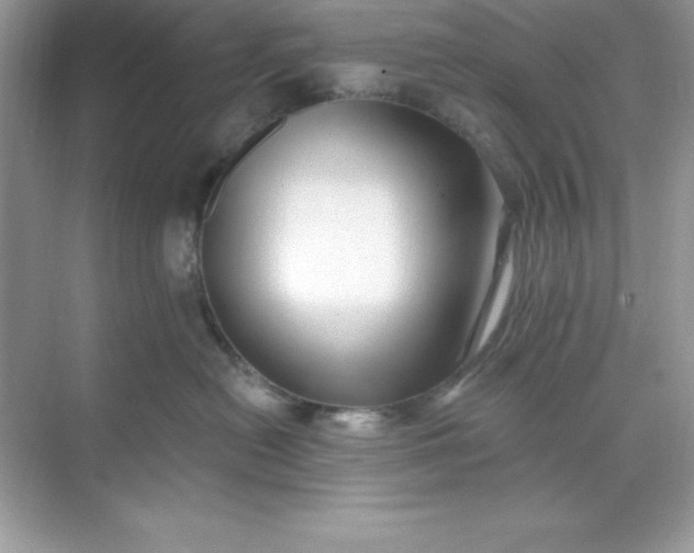 X0000071390478200607071913
