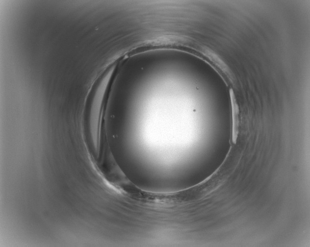 X0000071390485200607071912