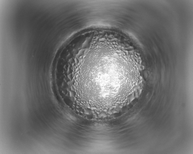 X0000071390487200607071912