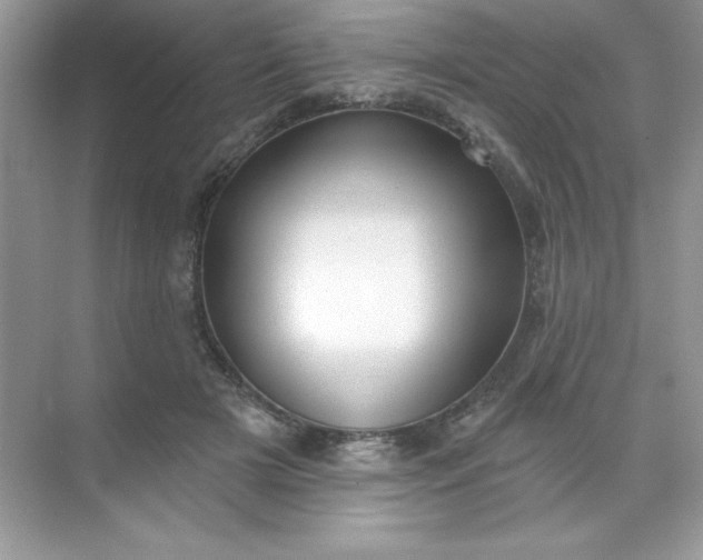 X0000071390505200607071912