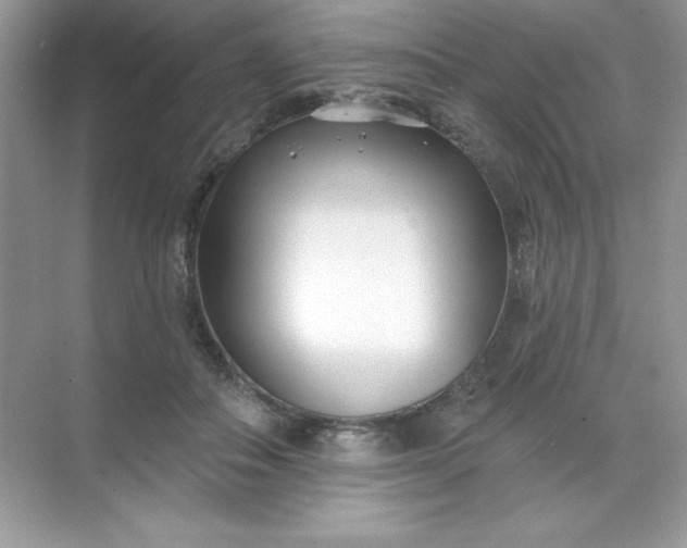 X0000071390506200607071911