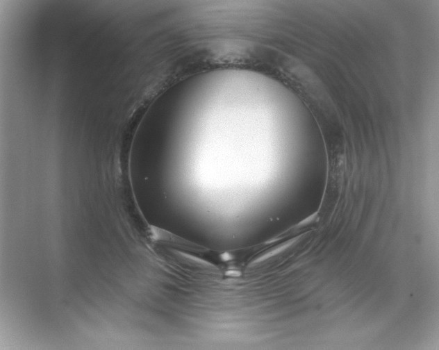 X0000071390508200607071911