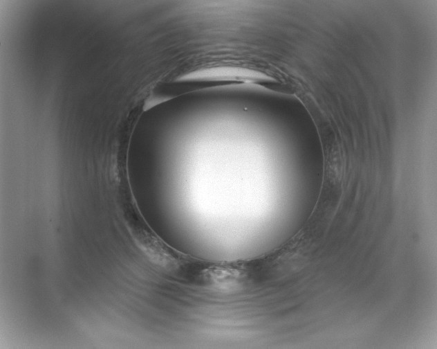 X0000071390512200607071911