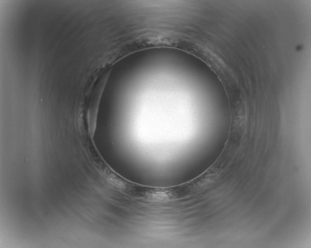 X0000071390513200607071911