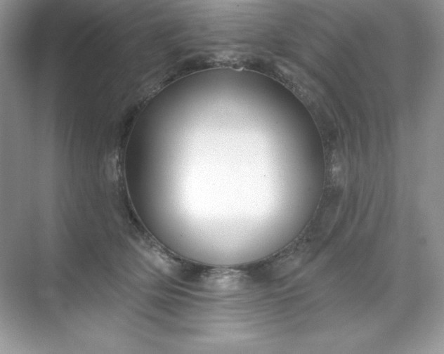 X0000071390514200607071911