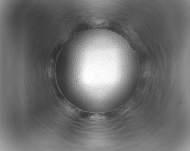 X0000071390515200607071911