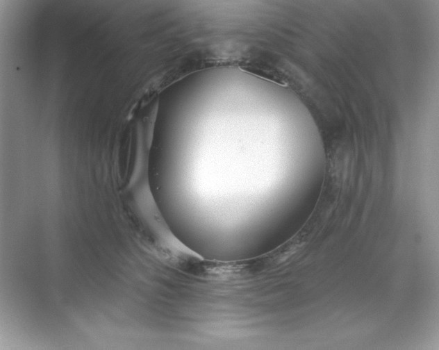 X0000071390516200607071911