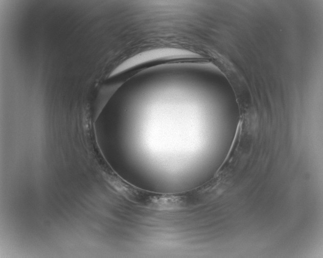 X0000071390517200607071911