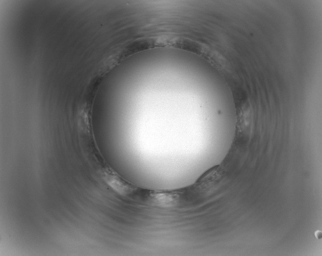 X0000071390522200607071911