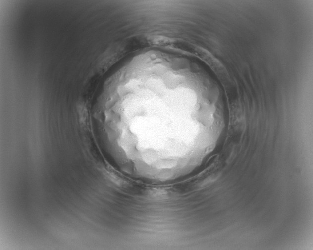 X0000071390523200607071911