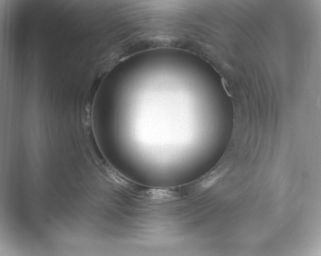X0000071390528200607071911