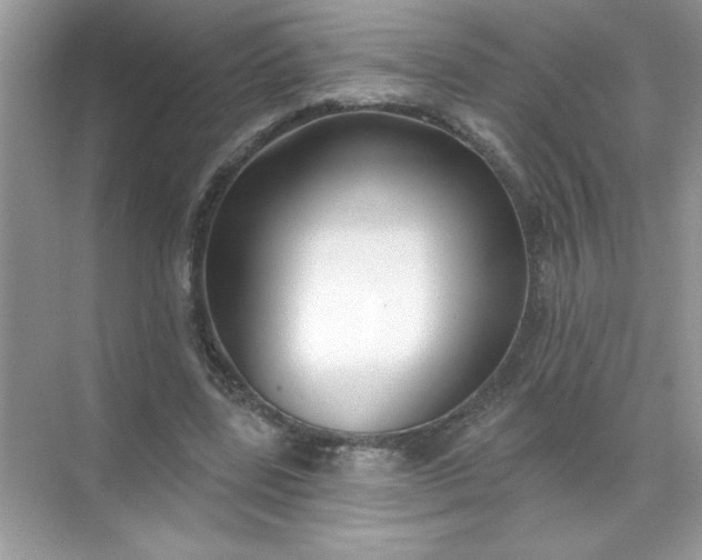X0000071390539200607071910
