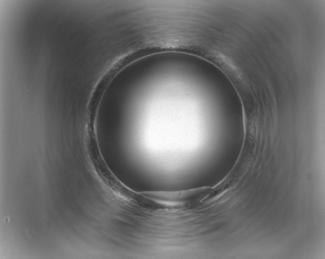 X0000071390540200607071910