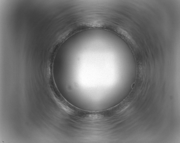 X0000071390541200607071911