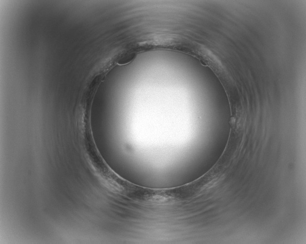 X0000071390542200607071911