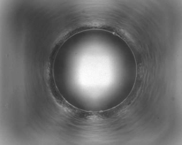 X0000071390544200607071911