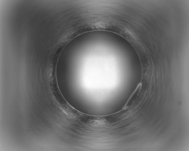 X0000071390548200607071911