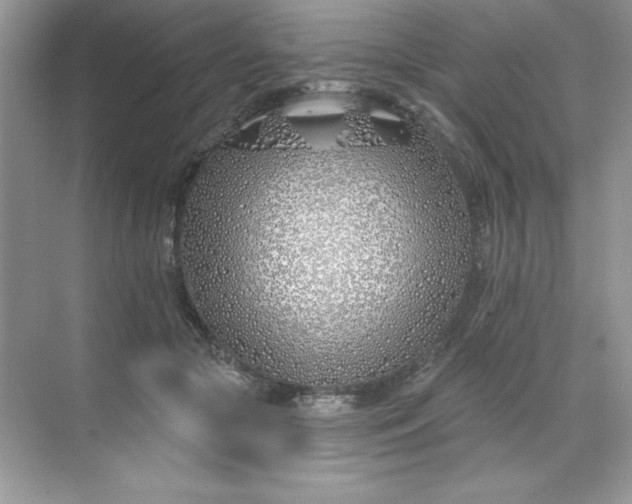 X0000071390553200607071911