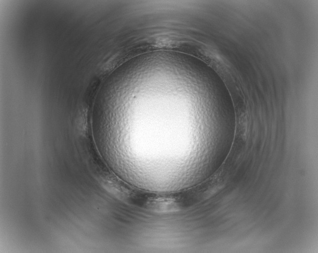 X0000071390554200607071911