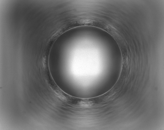 X0000071390556200607071911