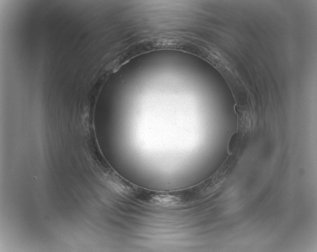 X0000071390557200607071911