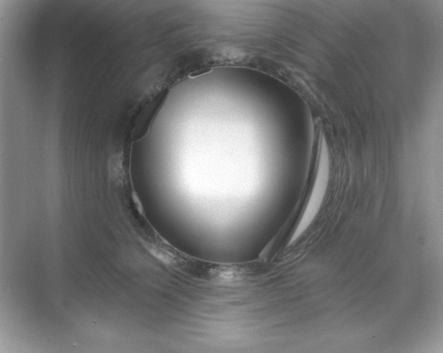 X0000071390564200607071911
