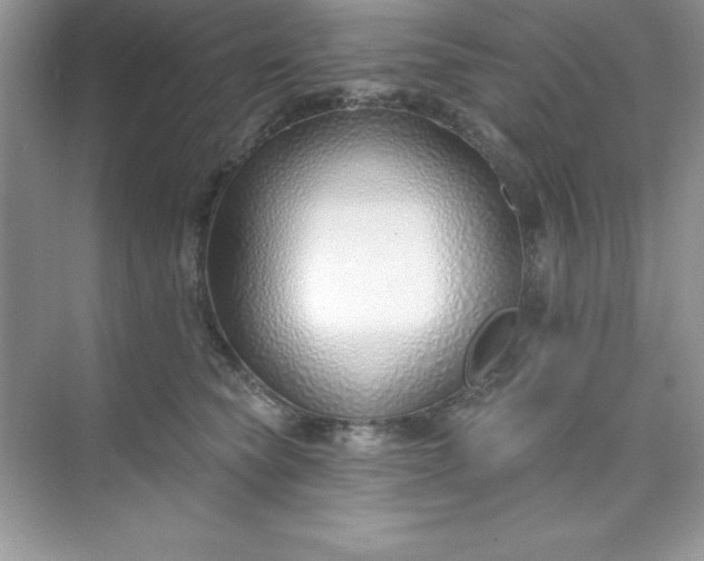 X0000071390565200607071911