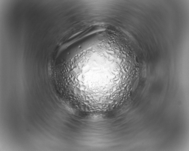 X0000071390569200607071911