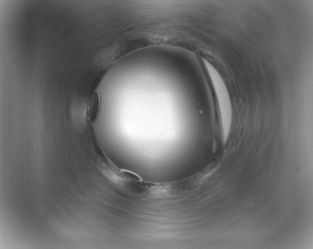 X0000071390574200607071911