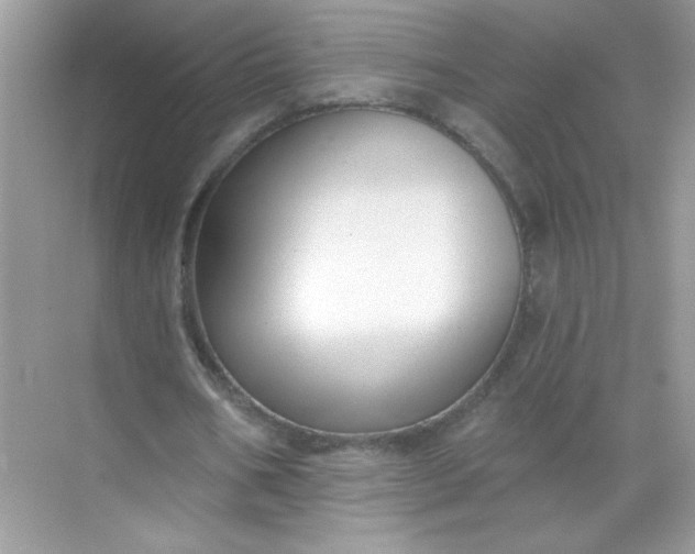 X0000071390578200607071910